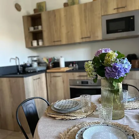 La Bergerie De L'alivettu En Corse *