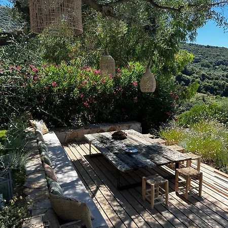 别墅 La Bergerie De L'alivettu En Corse 阿拉塔