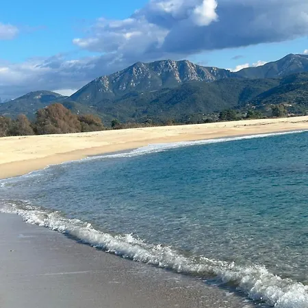 La Bergerie De L'alivettu En Corse