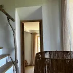 La Bergerie De L'alivettu En Corse