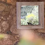 La Bergerie De L'alivettu En Corse * Alata