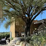 Villa La Bergerie De L'alivettu En Corse Alata