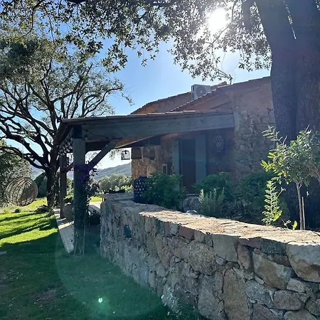 La Bergerie De L'alivettu En Corse * Alata