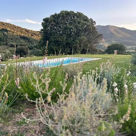 La Bergerie De L'alivettu En Corse Alata