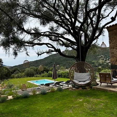 La Bergerie De L'alivettu En Corse Villa