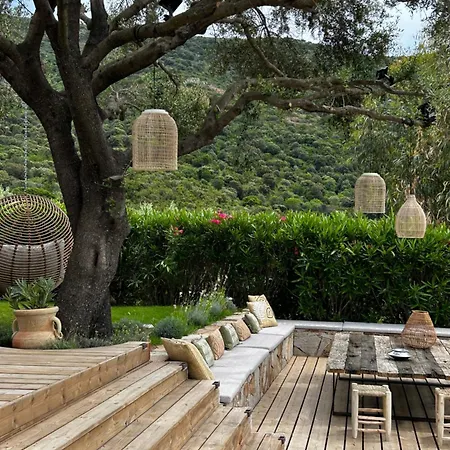 La Bergerie De L'alivettu En Corse *