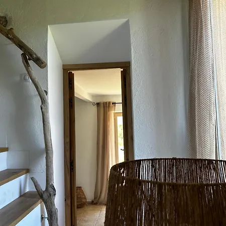 La Bergerie De L'alivettu En Corse