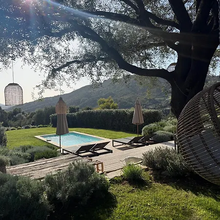 Villa La Bergerie De L'alivettu En Corse