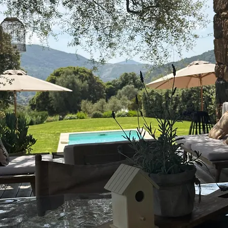 Villa La Bergerie De L'alivettu En Corse