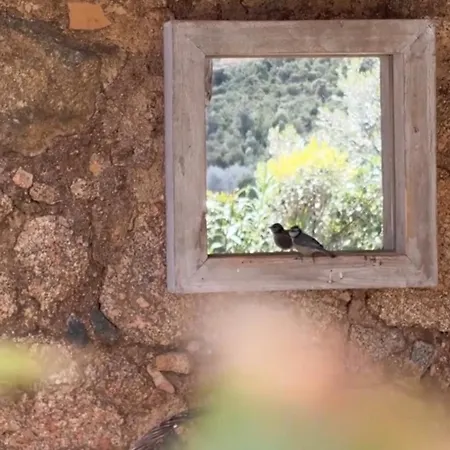 La Bergerie De L'alivettu En Corse * Alata
