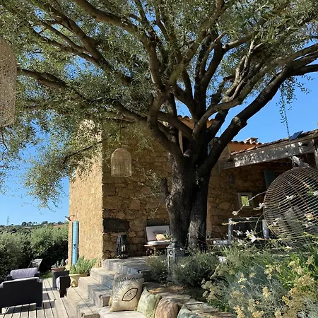 Villa La Bergerie De L'alivettu En Corse Alata