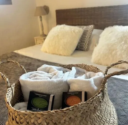 La Bergerie De L'alivettu En Corse *