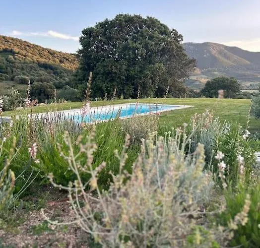 La Bergerie De L'alivettu En Corse Alata