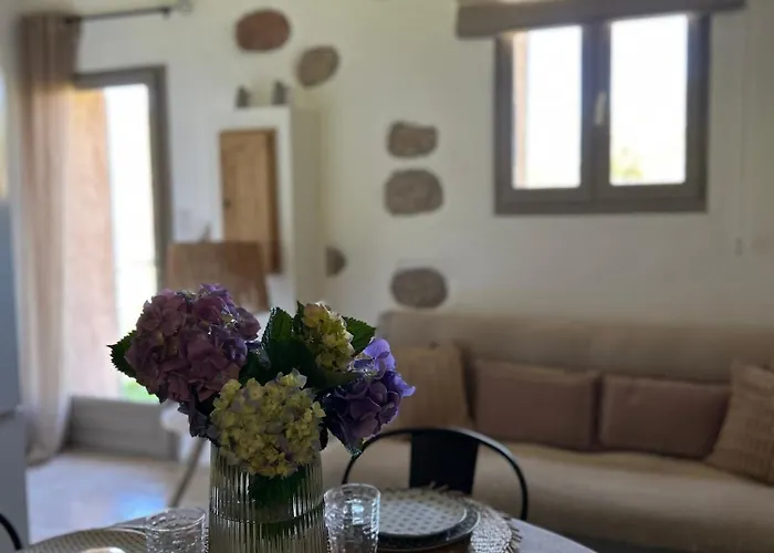 Villa La Bergerie De L'alivettu En Corse *