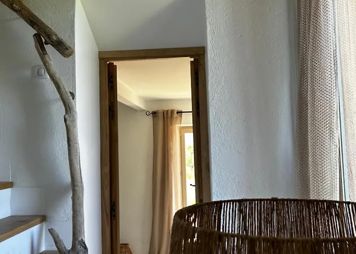 La Bergerie De L'alivettu En Corse